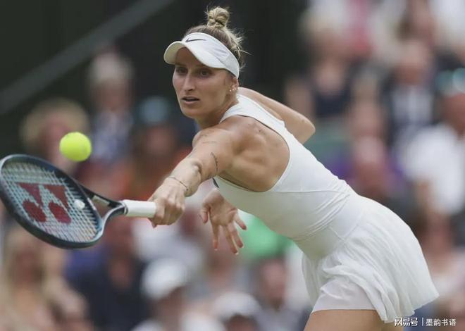 本文将深入 本文将深入