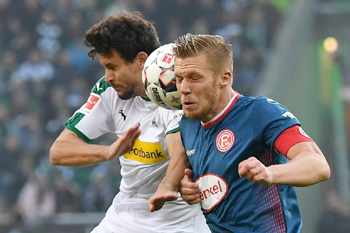 不仅促进了 不仅促进了