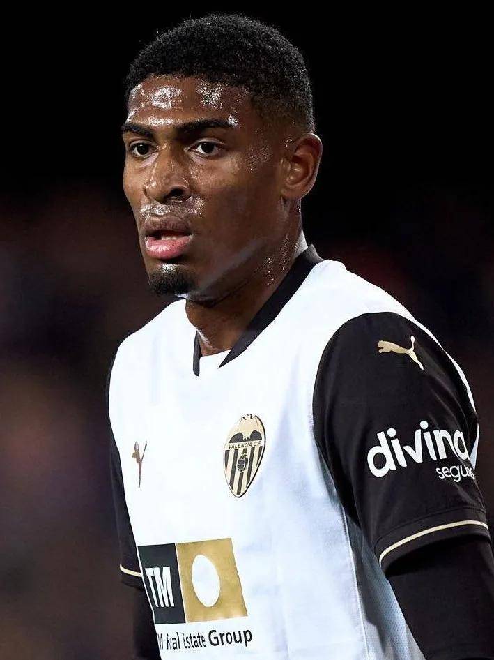 重要因素 重要因素